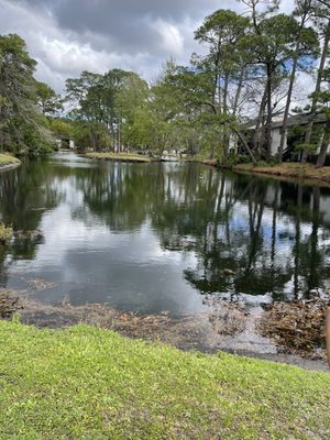 Another view of the island in the middle of the pond