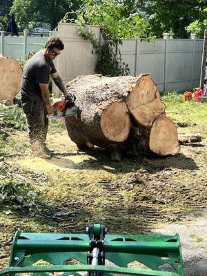 Huge pine tree service job in auburn. Another happy customer!