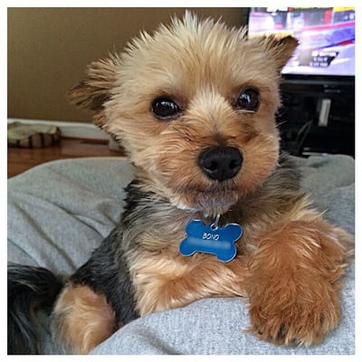 Bono looking so handsome after his haircut