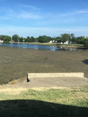 One of the "beautiful" lakes from Southfork. Haven't seen any two headed ducks at least. Yet.