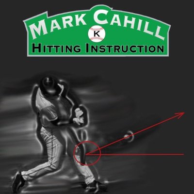 Professional Hitting Instruction