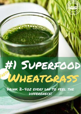 Wheatgrass shots