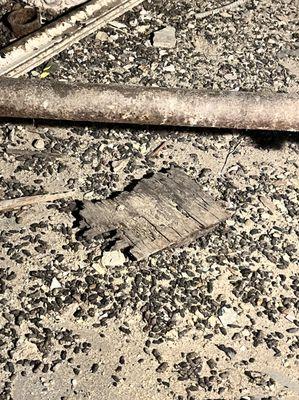 Rat feces in the basement of 380 E 10th Street