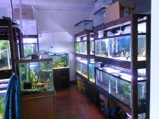 Fish Room