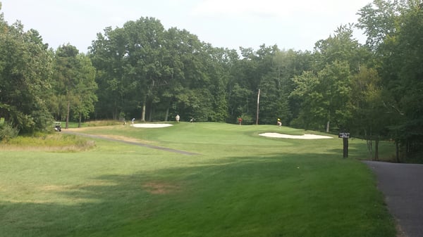 Fairways are in great shape given its August and there hasn't been any rain for weeks