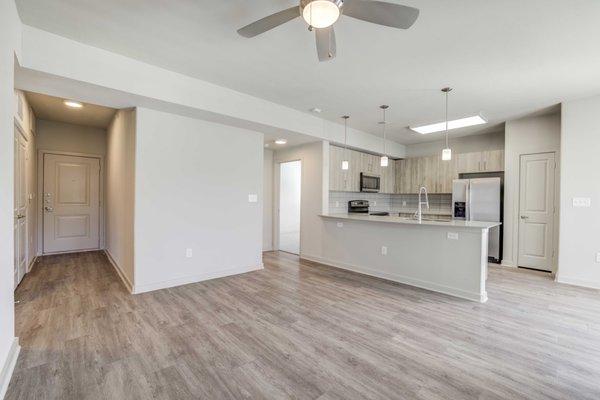 Apartment home living area and kitchen