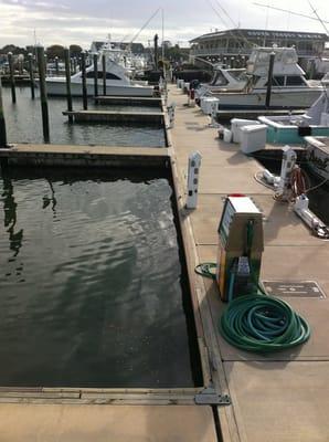 The nicer concrete floating docks at South Jersey Marina