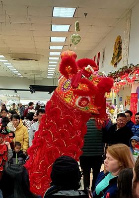 Today was last day to celebrate Chinese New Year. Wonderful!