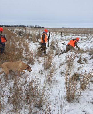 Roostertail Hunts