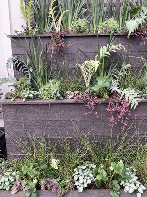 Tiered planter wall of plants