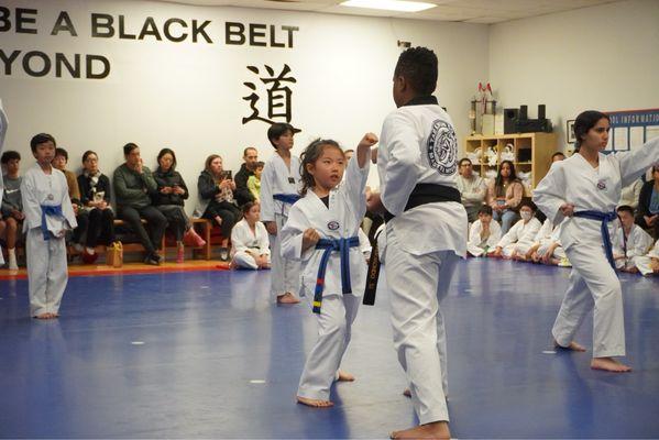 Color Belt Promotion Test