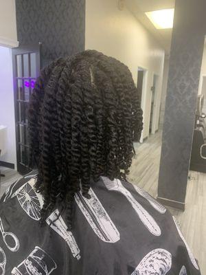 Two strand twists. This is a great protective style for natural hair, can be worn for weeks at a time with proper care.