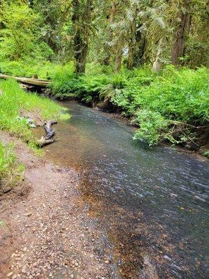 Salmon Creek-Morgan Creek Natural Area