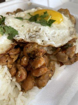 Pad Krapow (Thai Spicy Chicken) close-up