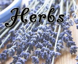 We carry bulk herbs, herbs in veggie capsules, herbal extracts & glycerites,   vibrational essences, TCM and much more....