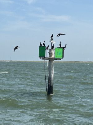 Tangier Island Cruises