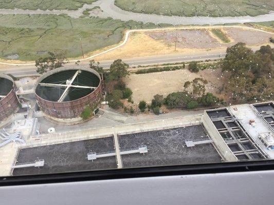 The plant as seen from the chopper