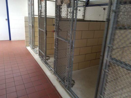 Even more empty Kennels