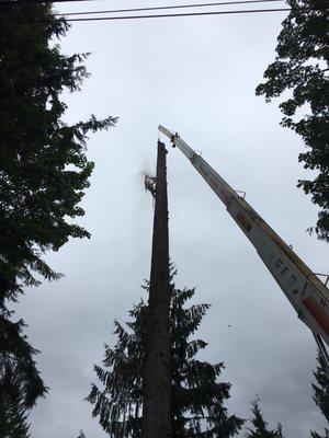 Lifting logs,  what we do best