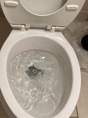 Toilet would fill almost all the way to the top rim and drain over about a three hour period