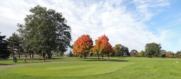 Green Oaks Golf Course