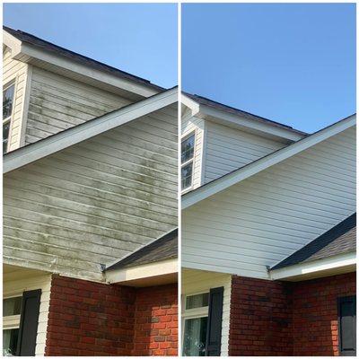 Before and after of vinyl siding. A couple years of mildew build up.