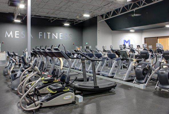 Our expansive cardio deck is home to bikes, treadmills, ellipticals, and more!