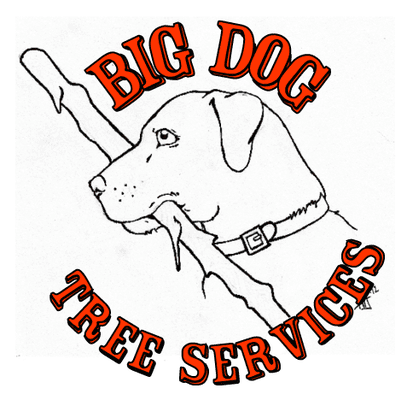 Big Dog Tree Services