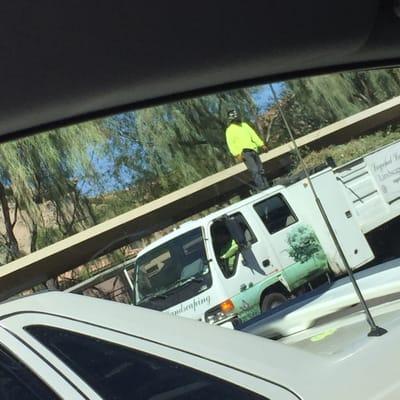 Looks like a gang of thugs hijacking a truck to run drugs