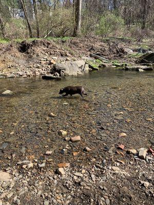 Friends of West Mill Creek Park