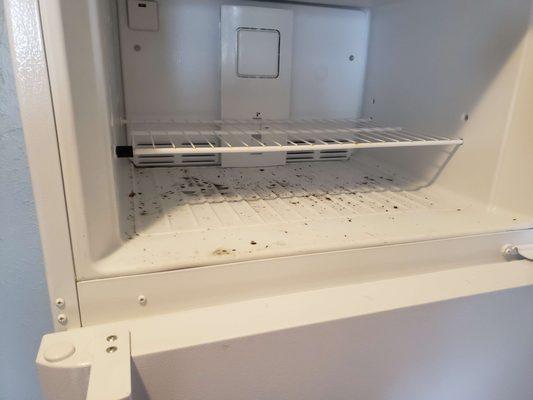 Mold in freezer and fridge