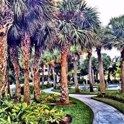 Walkway to center pool