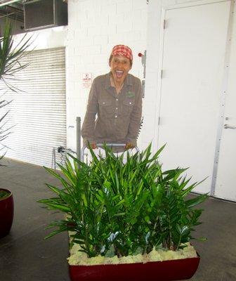 Professional plant delivery with a smile!