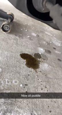 oil leak on the driveway