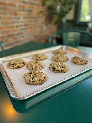 Chocolate  cookies, fresh out of the oven!