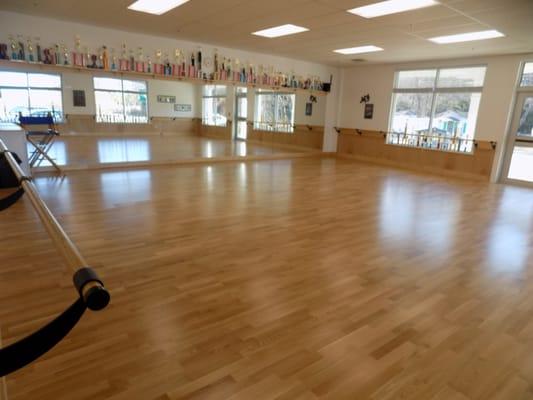 3 Beautiful Dance Rooms with raised, floating floors imported from Sweden.