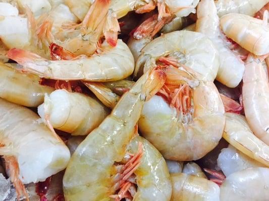 Wild Fresh Florida Shrimp