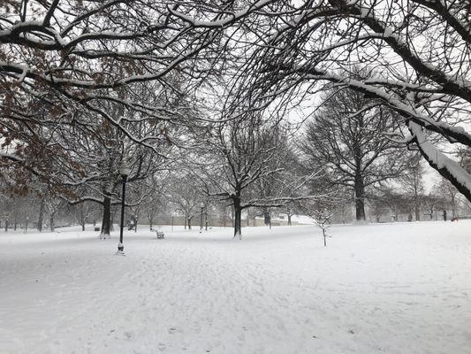 Snow day at the park.