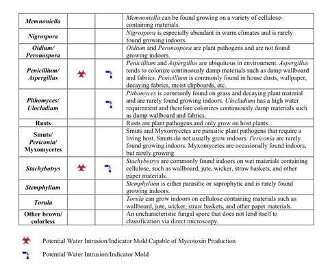 Toxic mold report we had to pay 750 dollars out of pocket because the apartment has literally been making me sick.