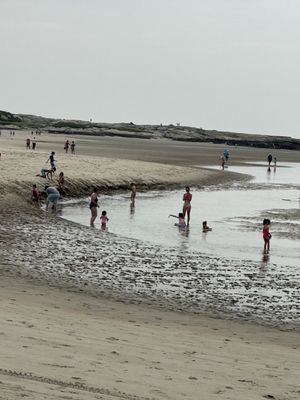 Peeps playing in the tide.