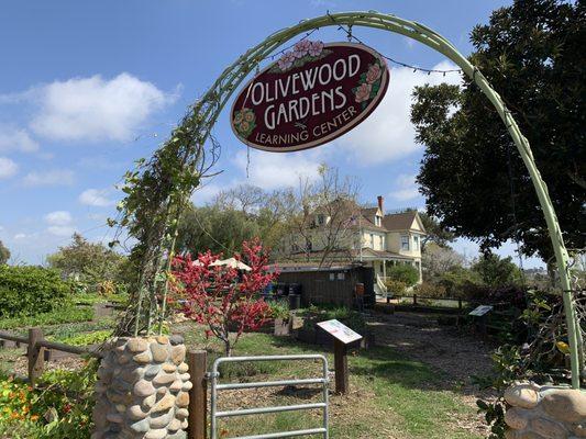 Welcome to Olivewood Gardens and Learning Center in National City, CA.  Check out our website  www.olivewoodgardens.org for special events!