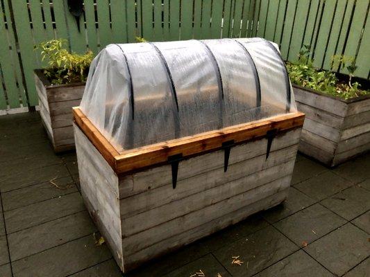 Custom cedar planters, custom cold frame, teak planters, drip irrigation on WIFI controller. Everything is edible. Brooklyn, NY.