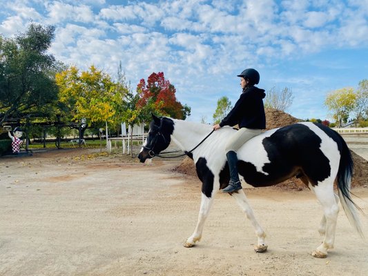 Brookside Equestrian Park