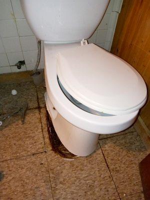 Removing the toilet and replacing the ring to stop leaking