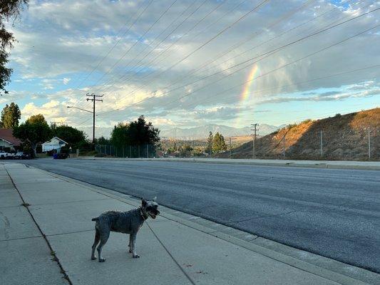 Weird rainbow. It's beautiful regardless.