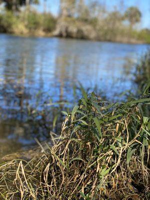 Lake Jem Park and Boat Ramp