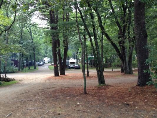 Pines Camping Area