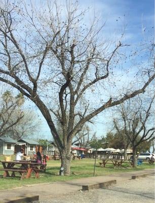 People having picnics on this beautiful Valentines Day at Maya Park.