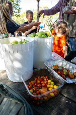 Fall gardening, yum!