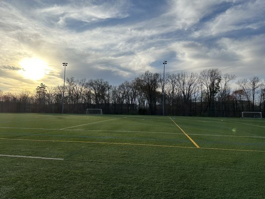 One of three fields - turf